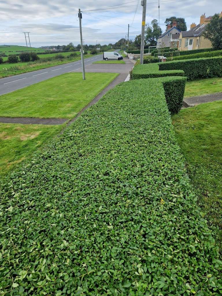 Hillside Garden Services