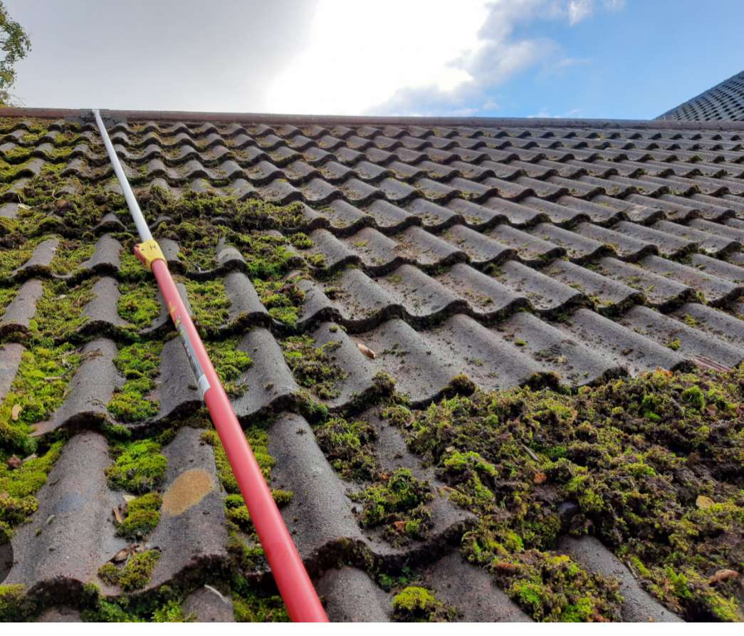 Principle Roof Cleaning