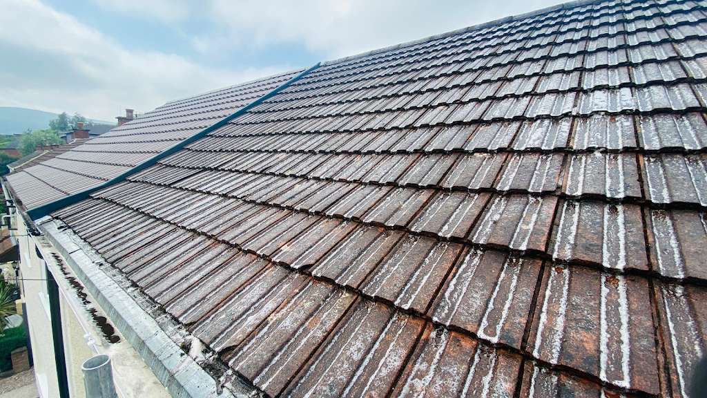 Dirt Killer Exterior Cleaning