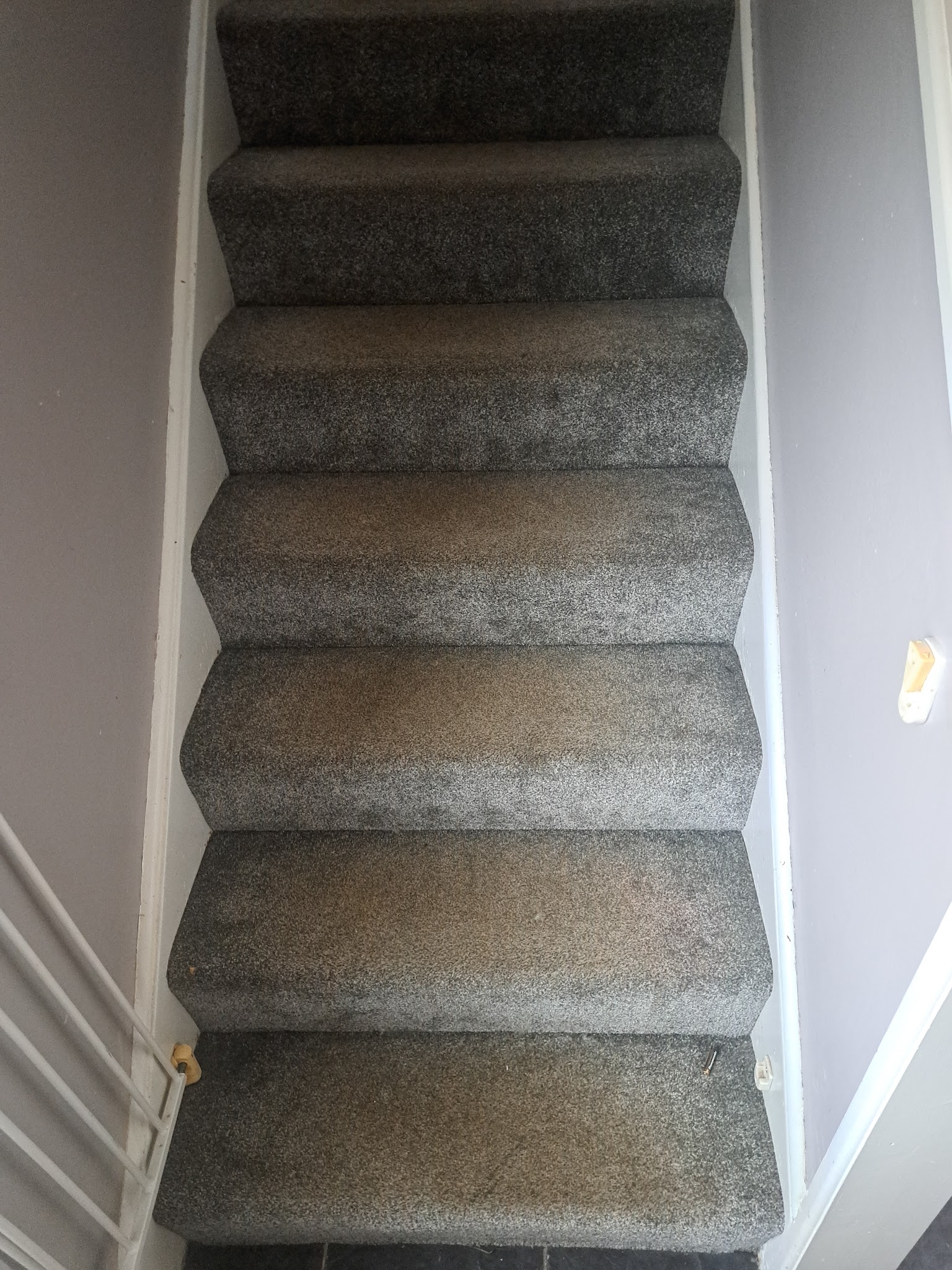 5 Star Cleaning