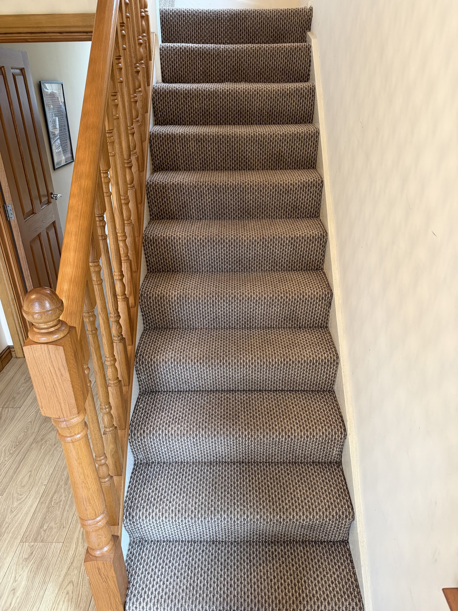 Cleanology NI - Carpet & Upholstery Cleaning
