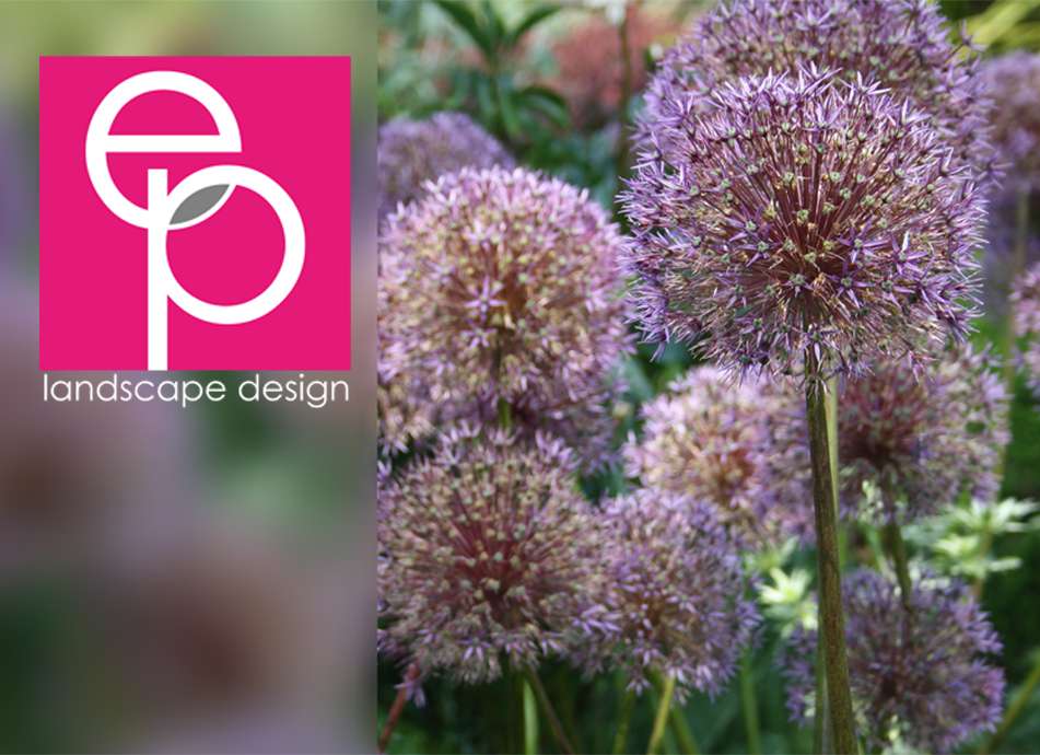 EP landscape design