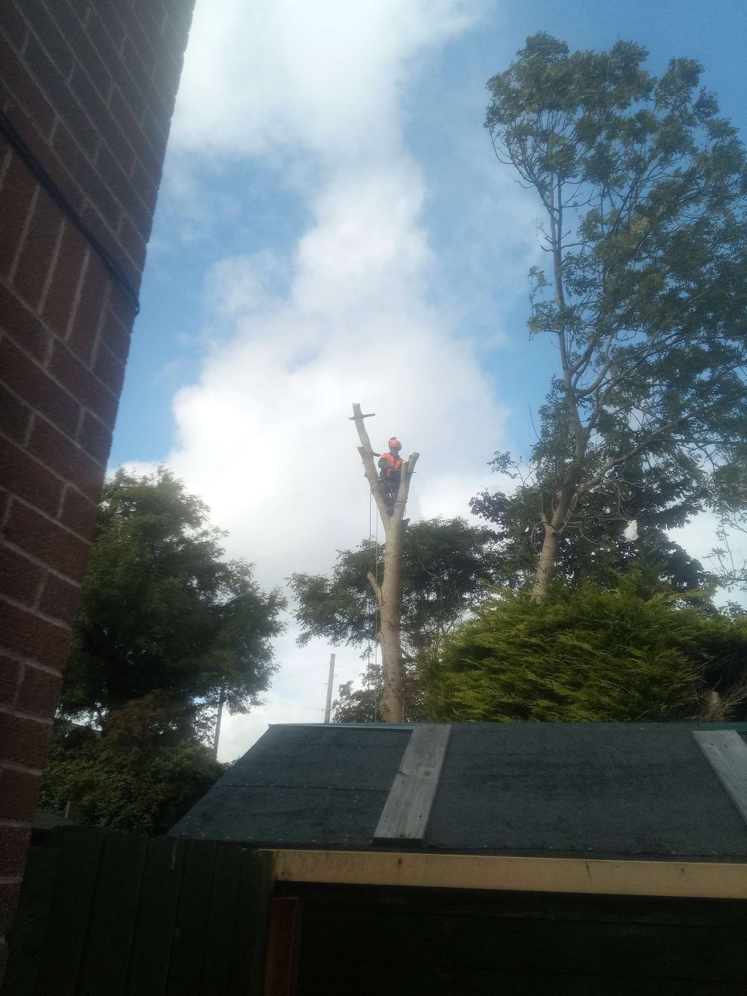 TREEWORKS