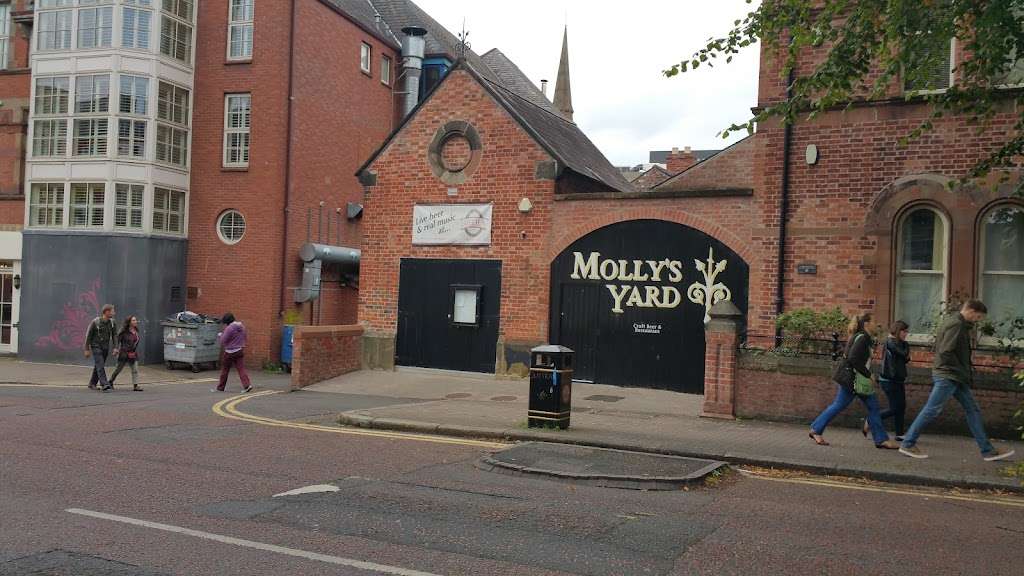 Molly's Yard