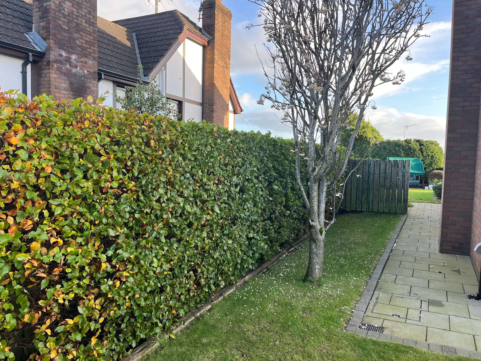 Sperrin Landscapes