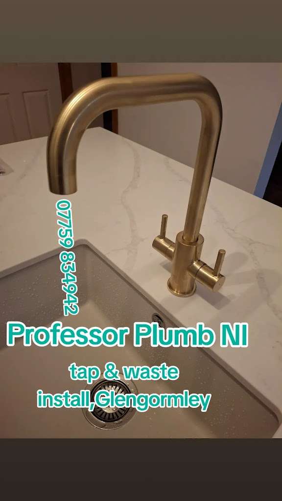 Professor Plumb NI