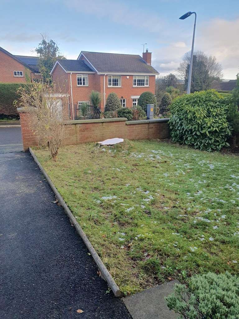 Pellipar Tree Services