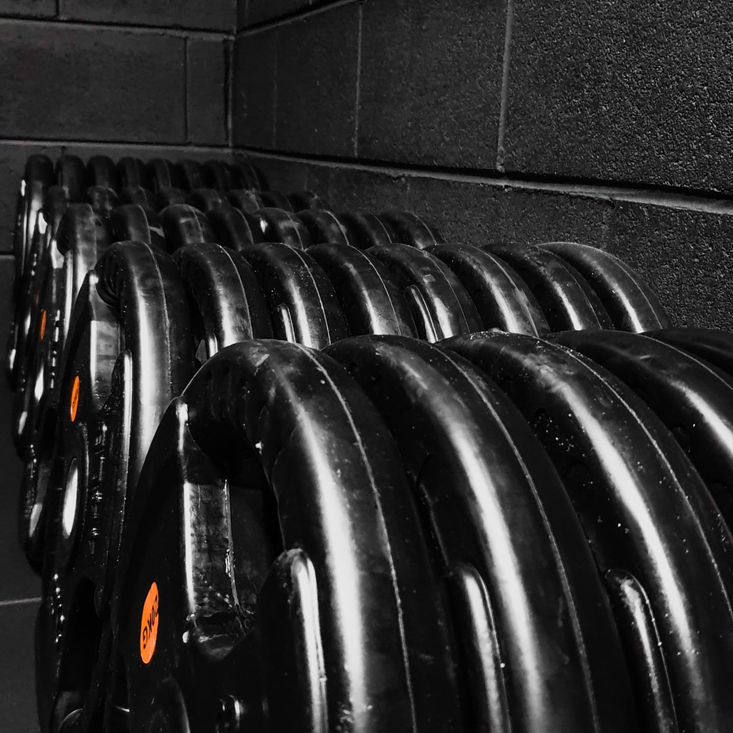 Dane Quigley Nutrition