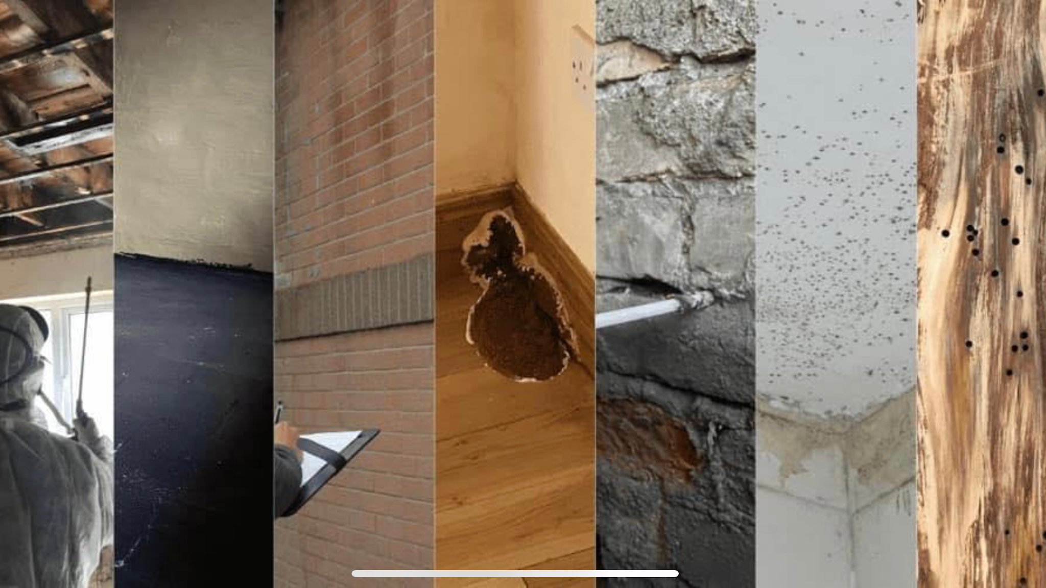 Toner Damp Proofing Ltd | Damp Proofing & Waterproofing | Belfast NI