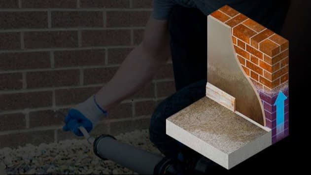 Action Against Damp - Damp Proofing and Woodworm Contractor