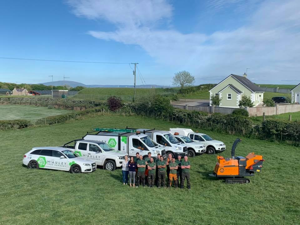 McAuley Tree Surgery