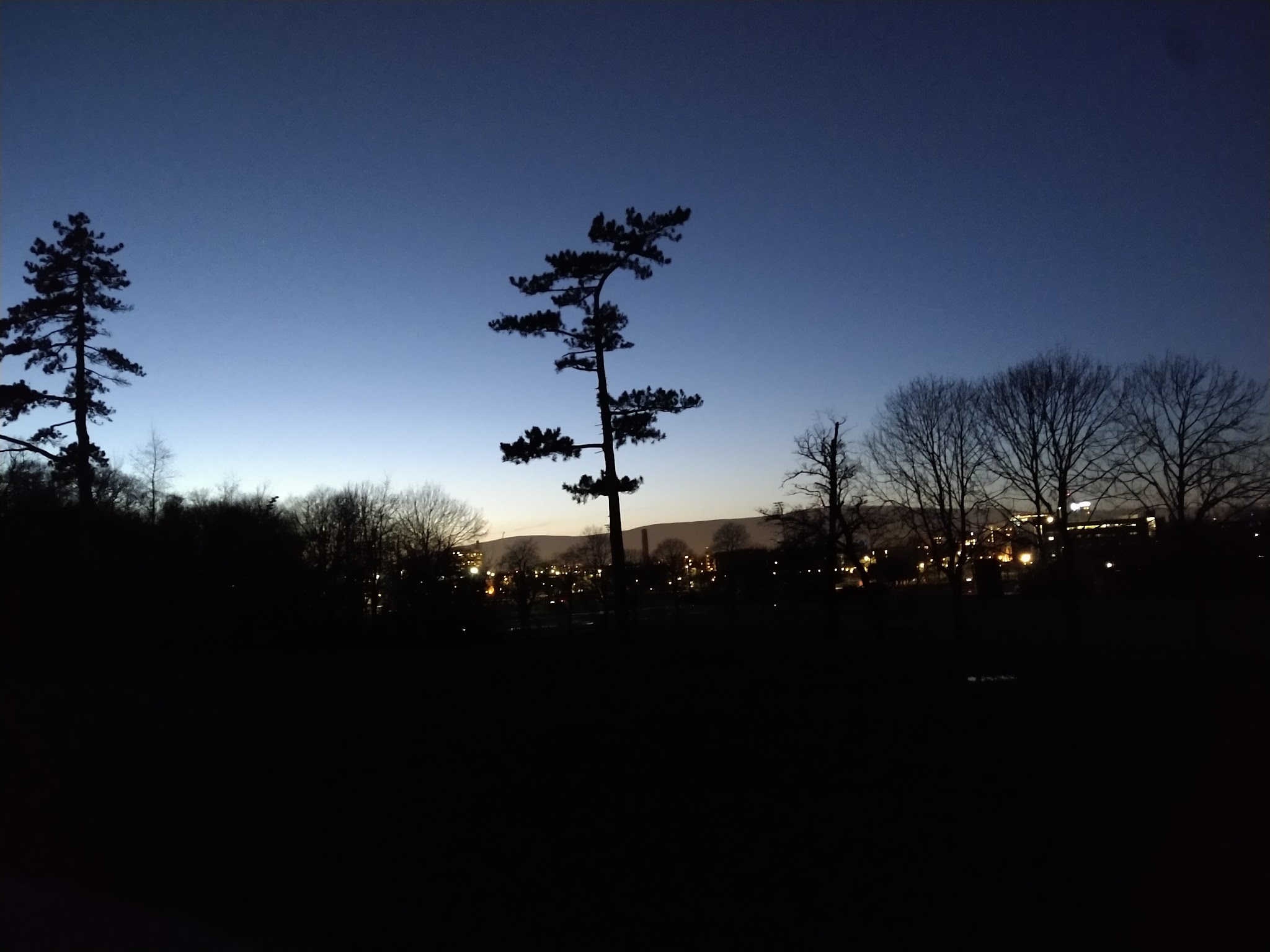 Belfast Tree & Garden Services