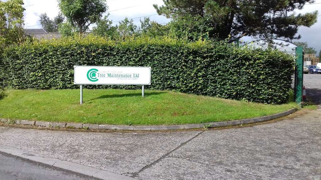 Clarke Cunningham Tree Maintenance
