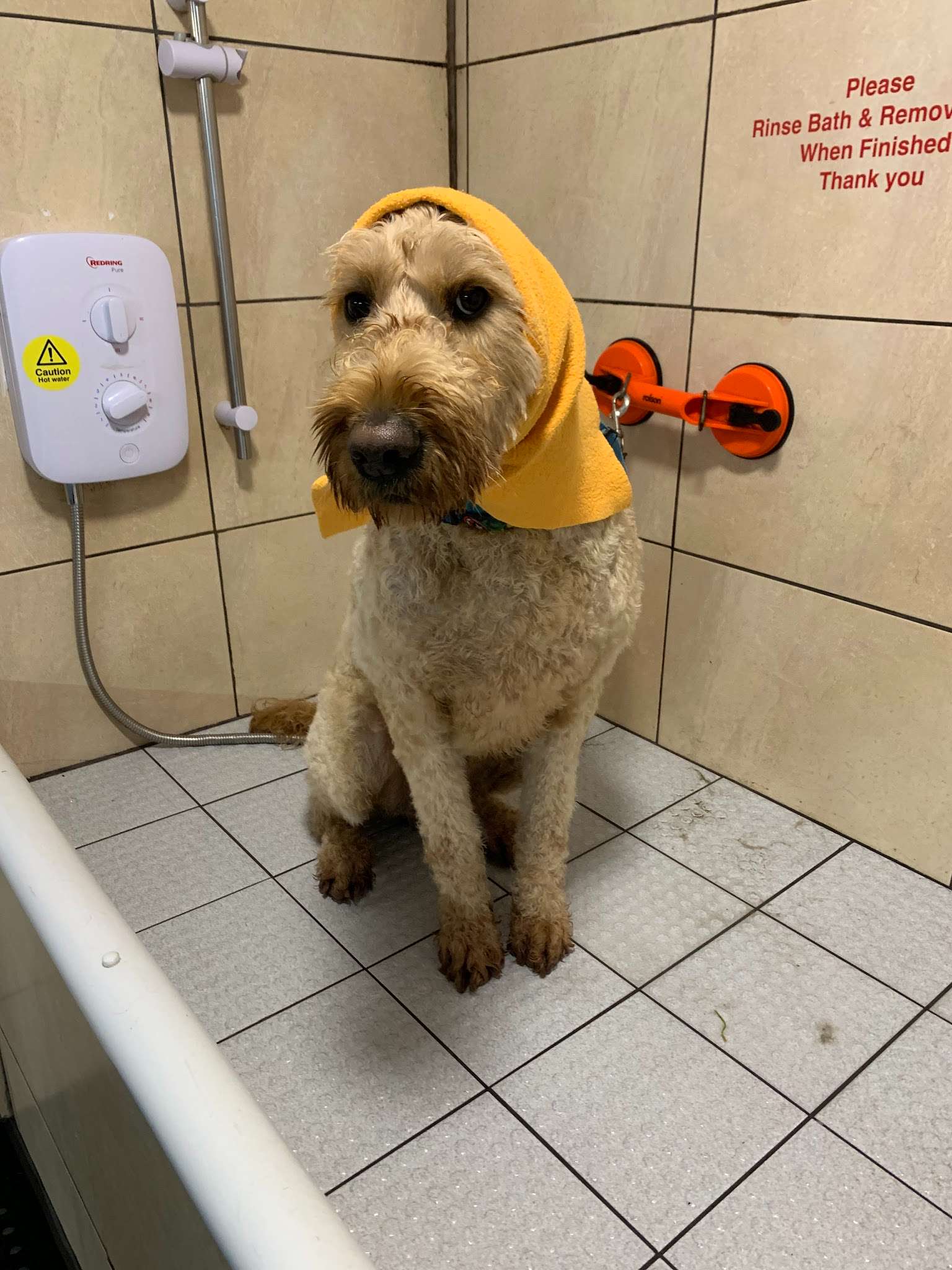 Bark N Baths