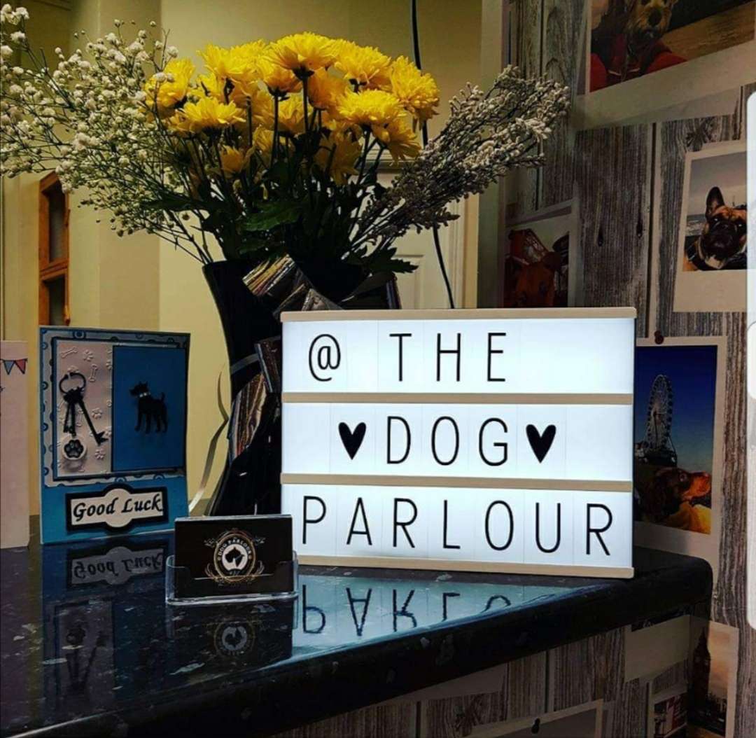 The Dog Parlour