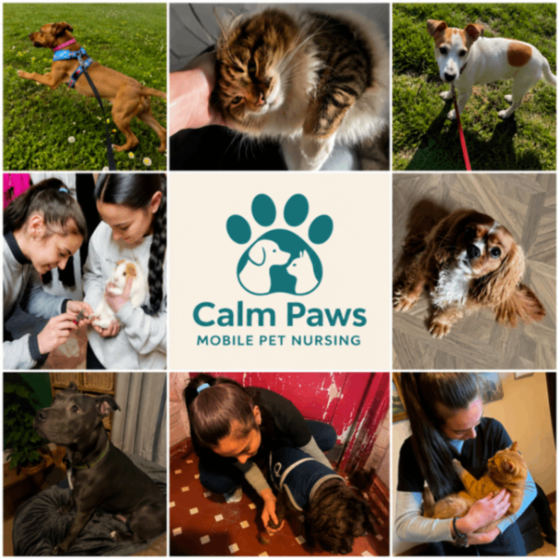 Calm Paws Mobile Pet Nursing