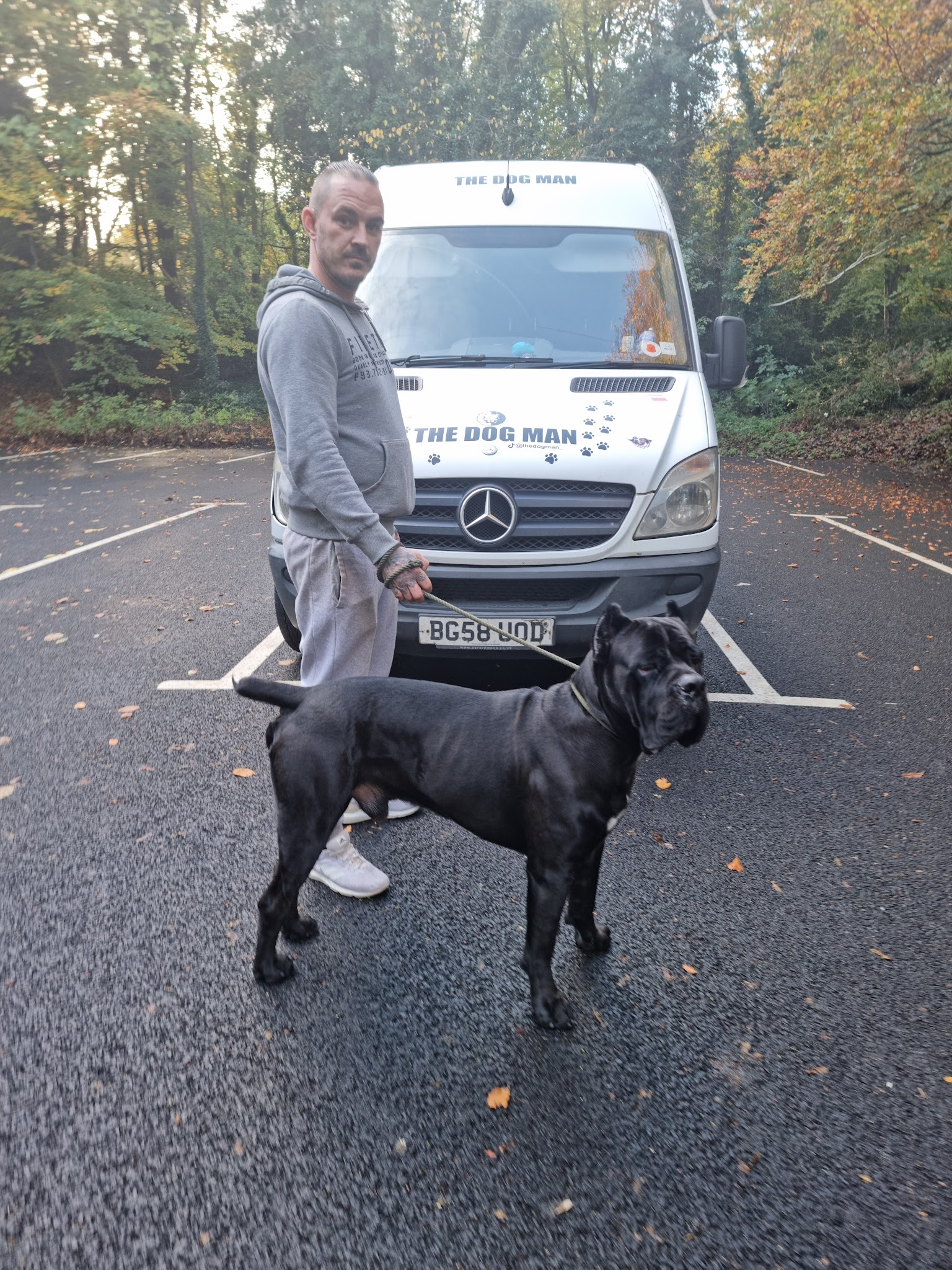 The dogman belfast