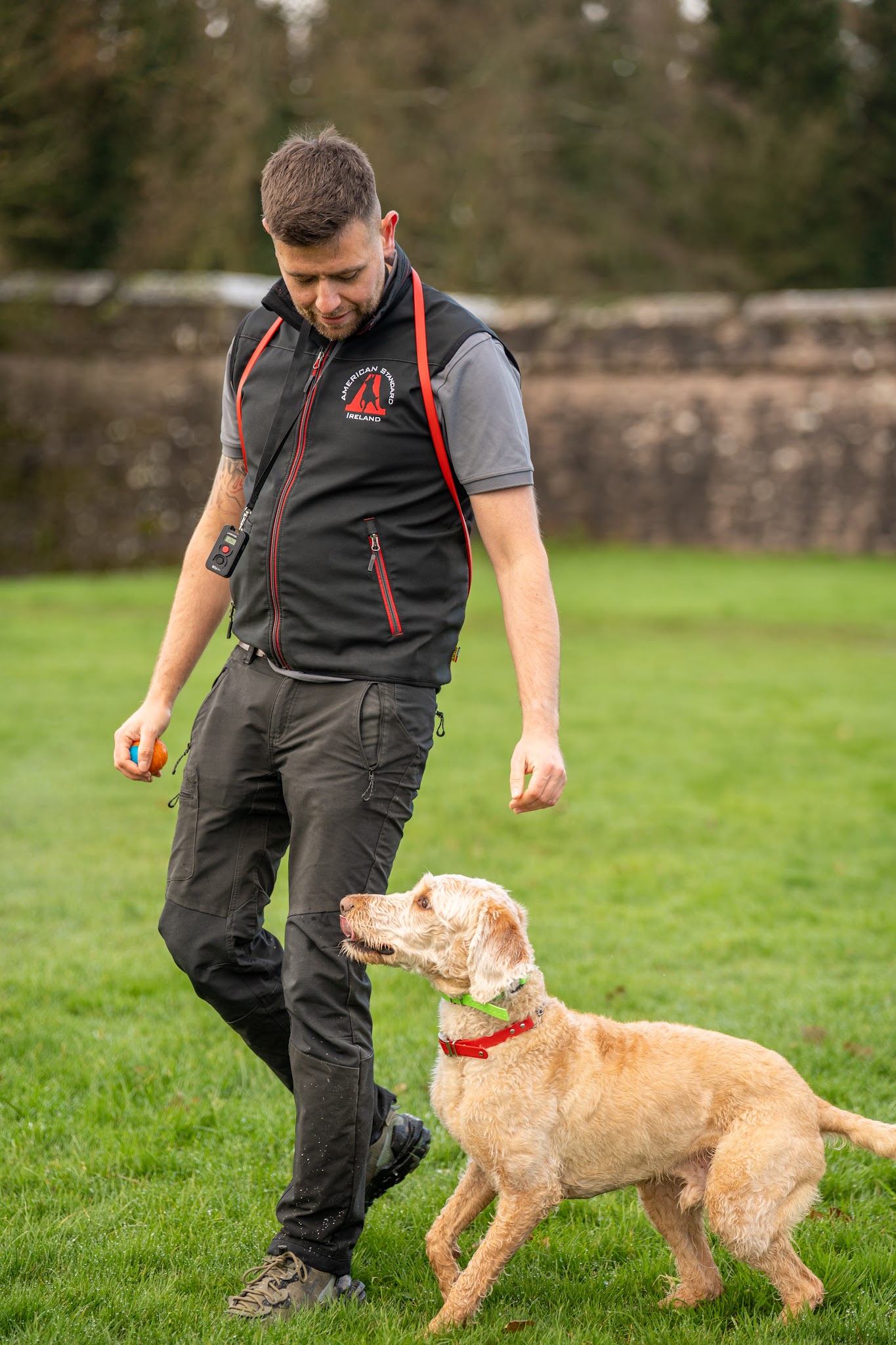 American Standard K9 Dog Training Ireland