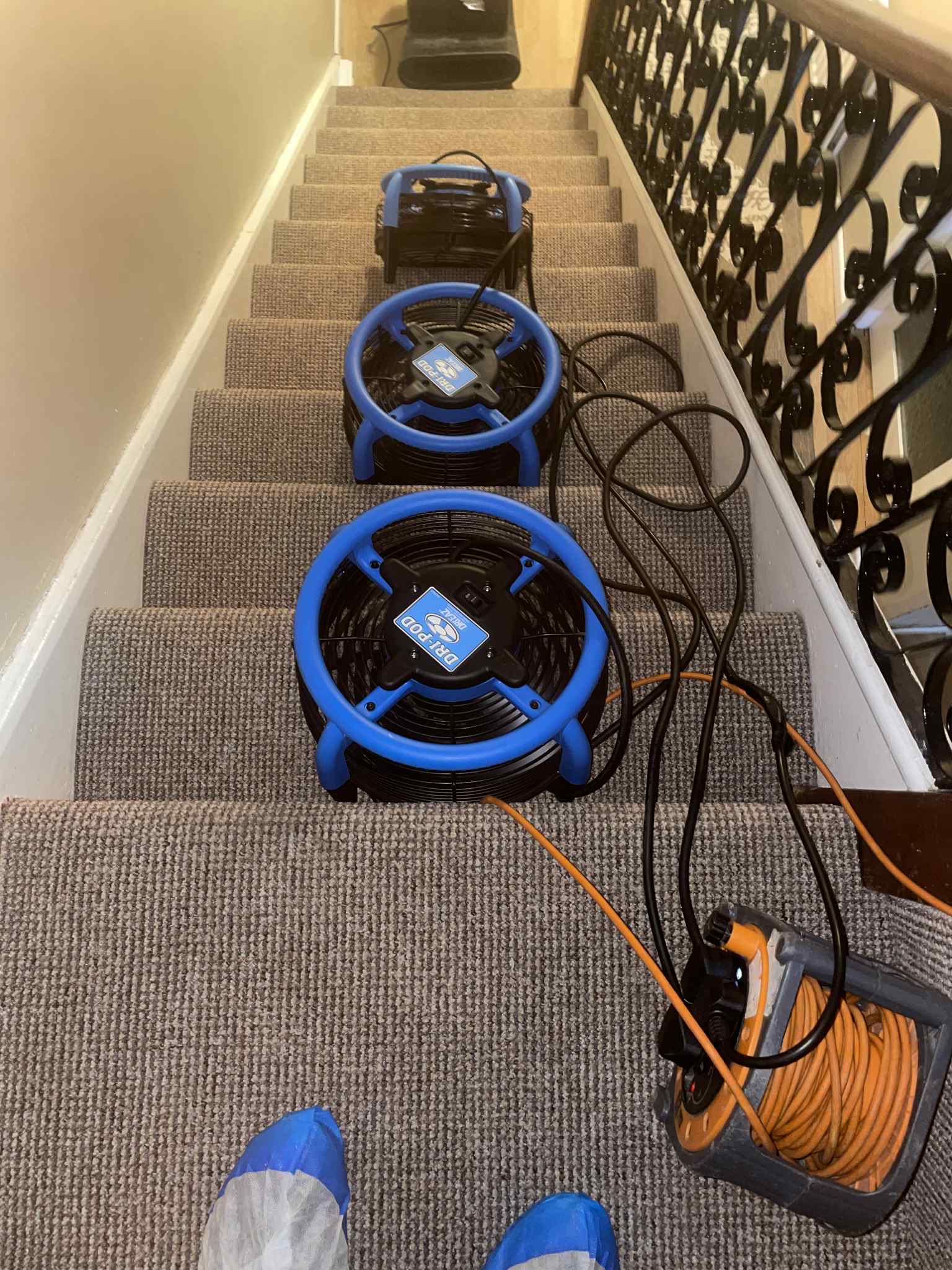 Carpet cleaning service Well Done