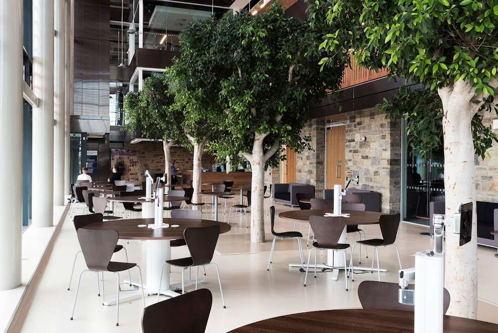 Hamilton Architects