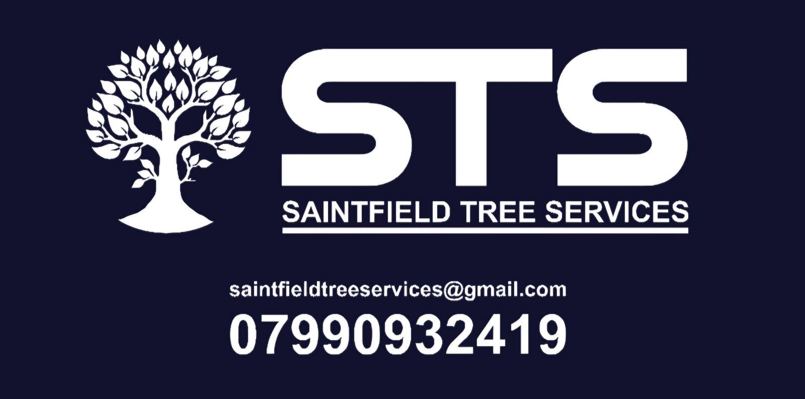 STS Saintfield Tree Services