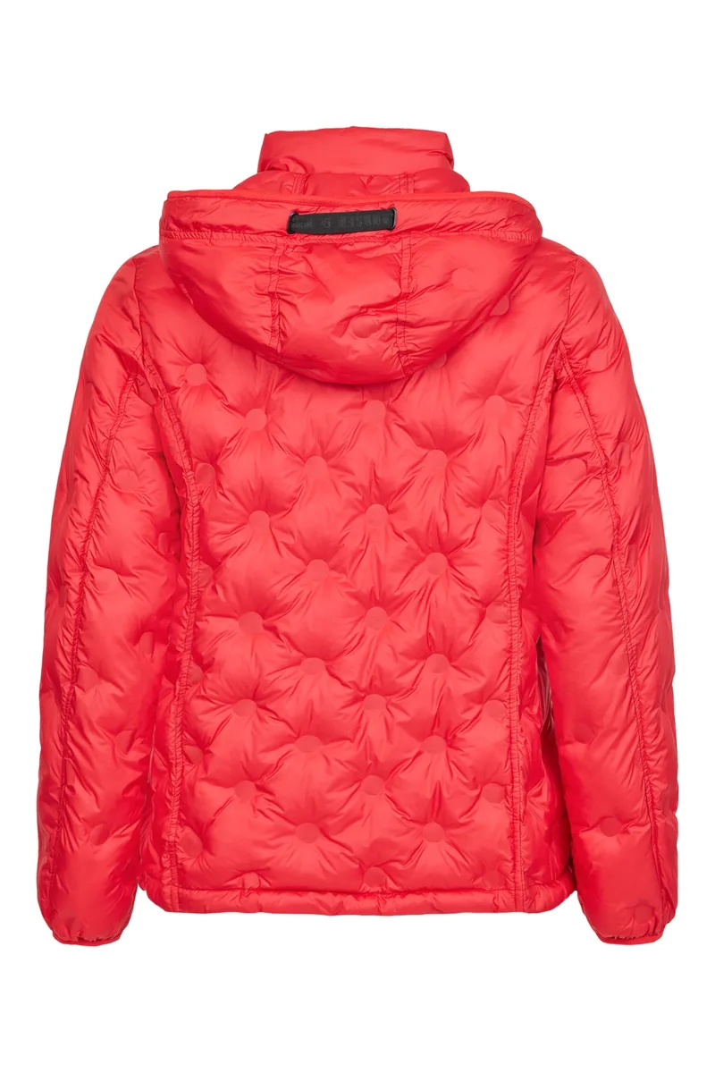Veste Frandsen — dos