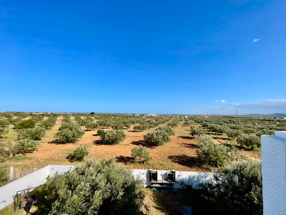 Serene Countryside Escape Olive Farm Villa for 12 - photos - Galerie 4