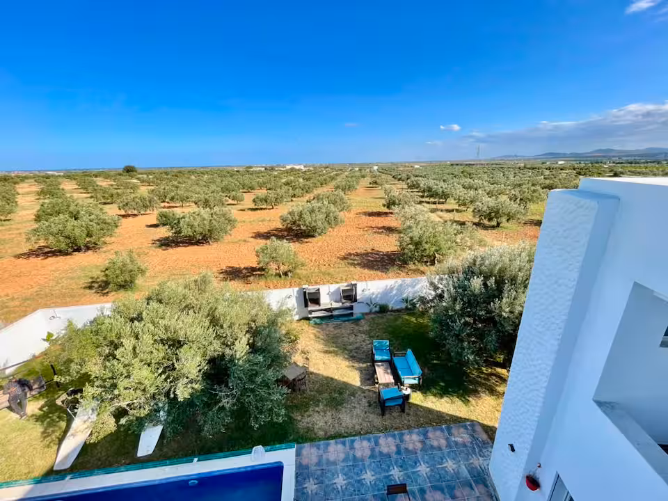 Serene Countryside Escape Olive Farm Villa for 12 - photos - Galerie 4