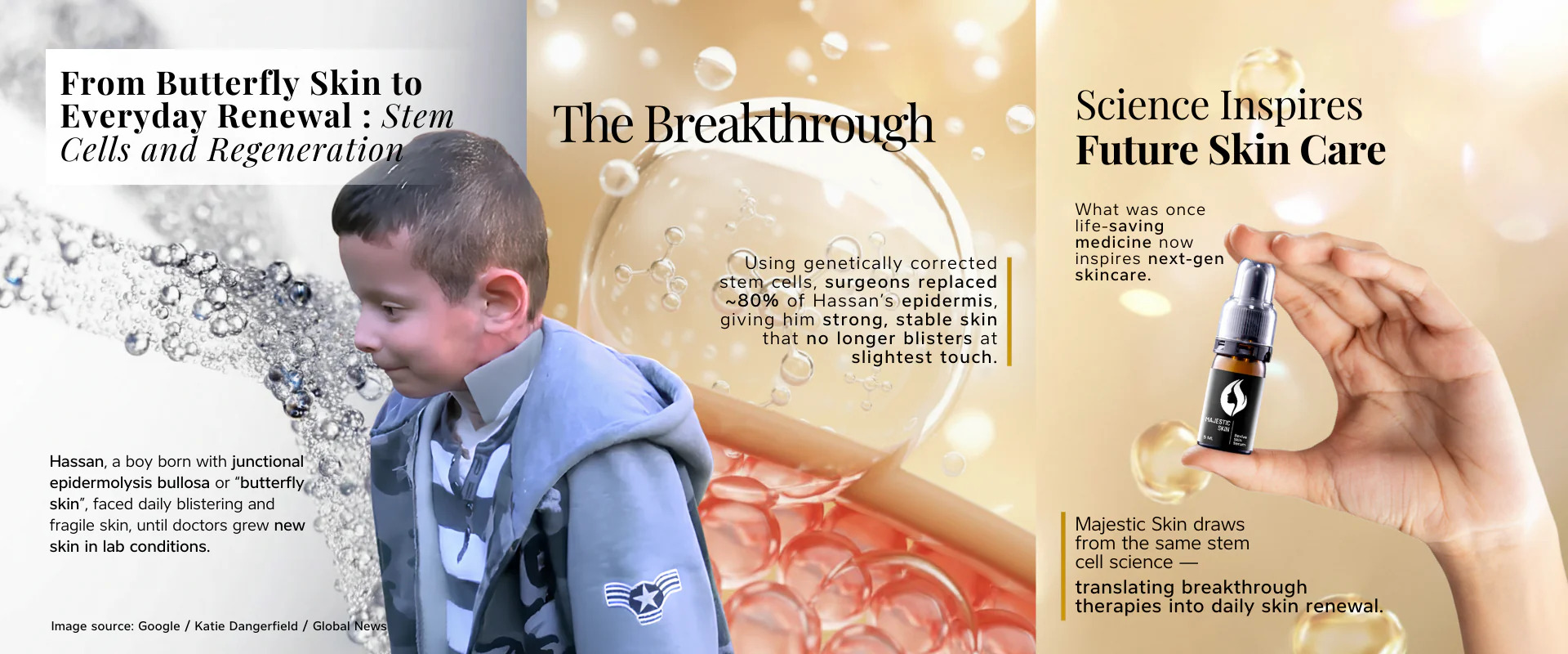 From Butterfly Skin to Everyday Renewal: Stem Cells and Regeneration
