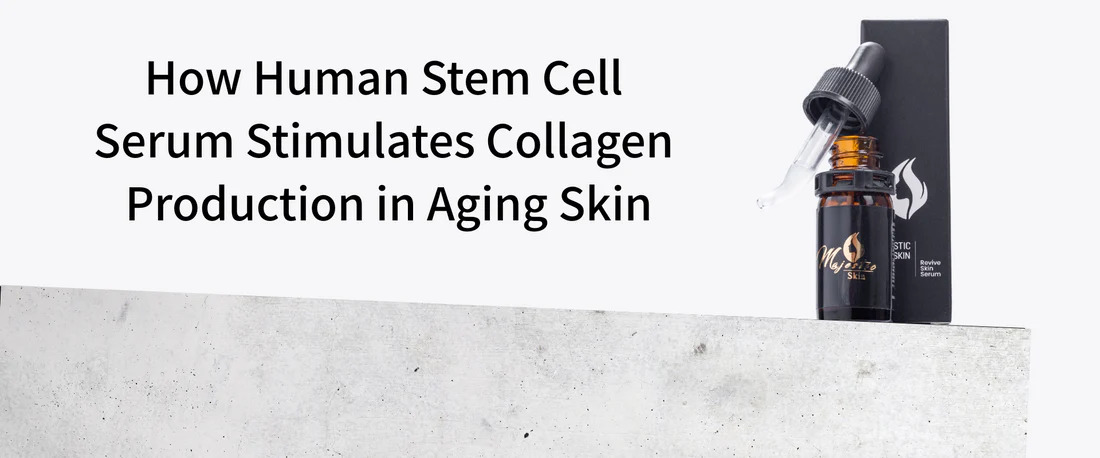 How Human Stem Cell Serum Stimulates Collagen Production in Aging Skin