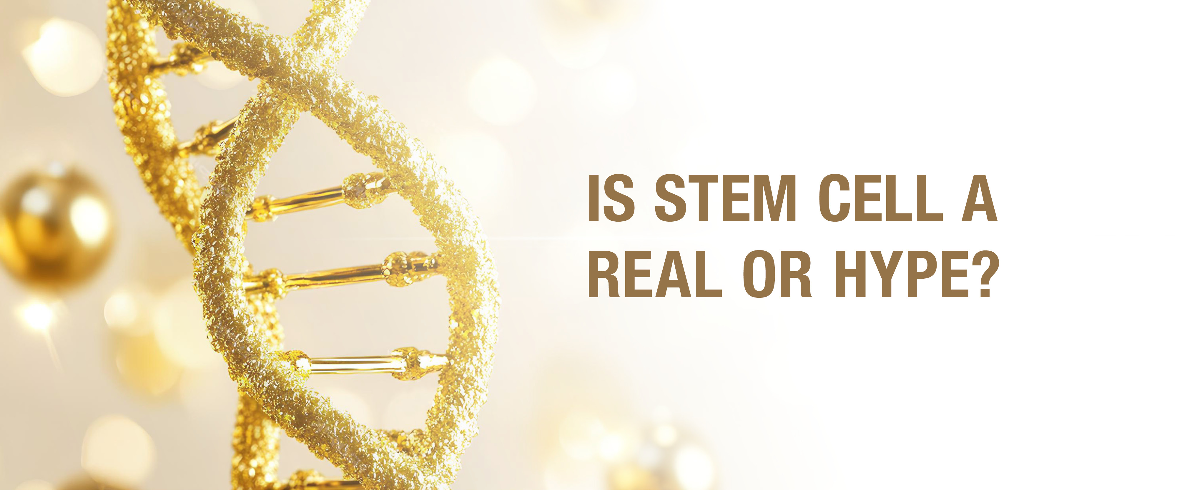 Is Stem Cell Skincare Just Hype? Here’s What the Science Really Says