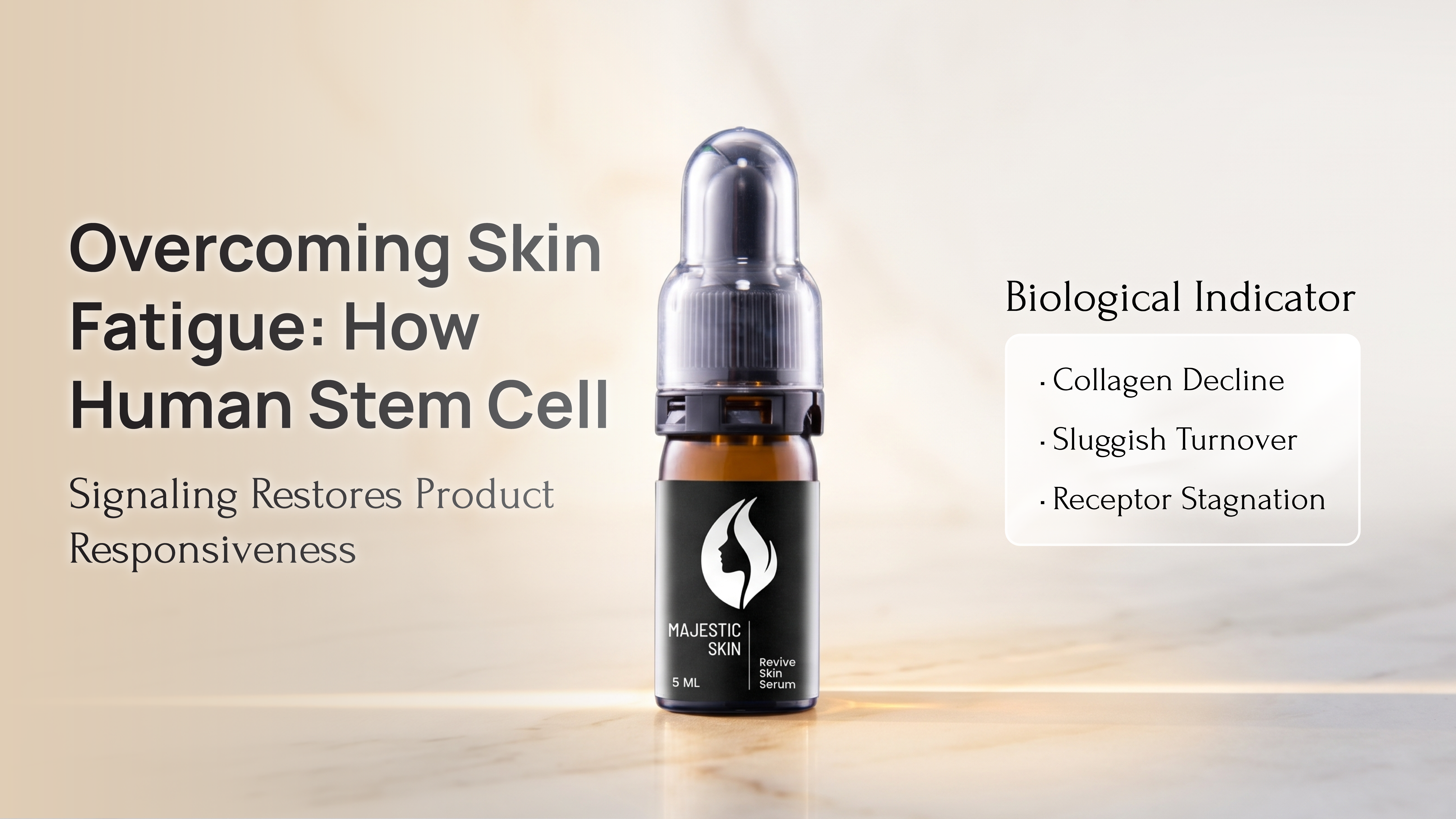 Why Aging Skin Stops Responding to Skincare — and How Stem Cells Are Changing That