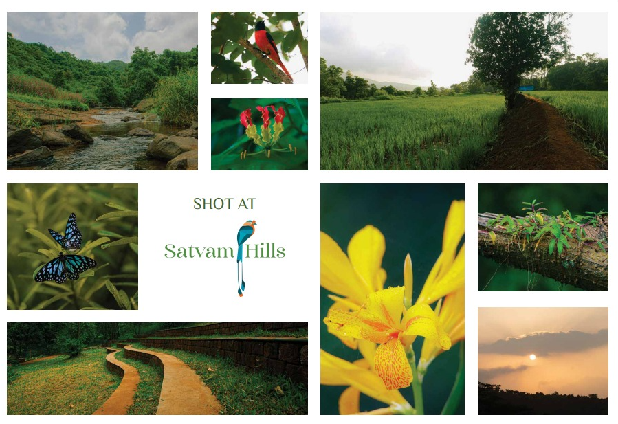 Satvam Hills: Luxury Villa Plots by Synergy New Launch Mulshi project view 8 - Official site construction update or visual rendering
