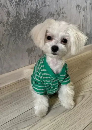 User Денис  Васильев avatar