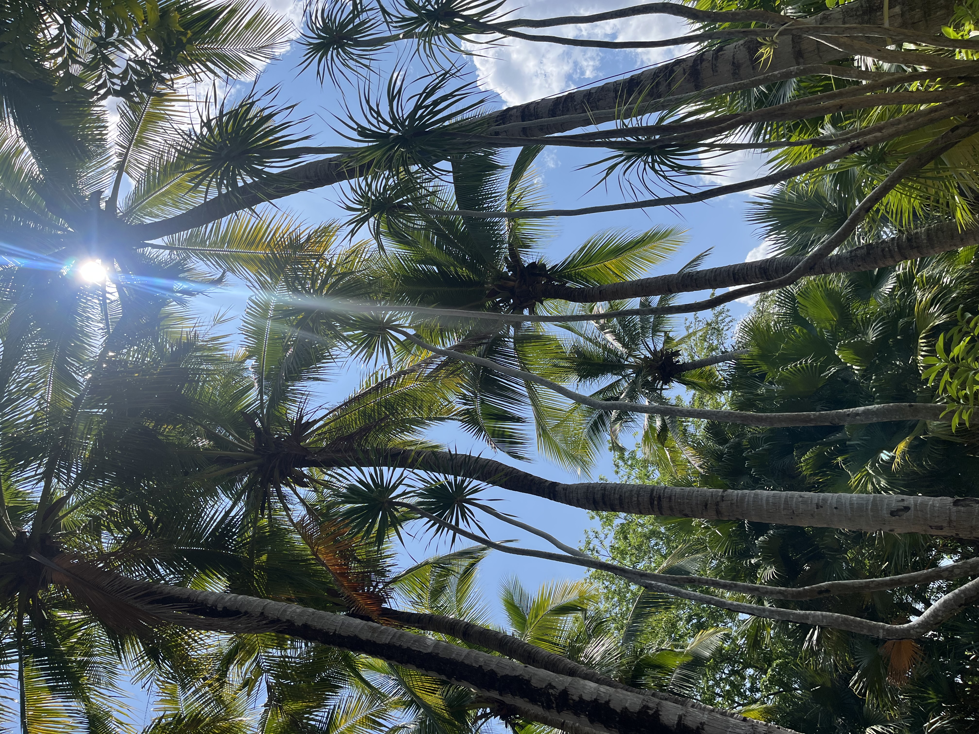 Путешествие в Таиланд в октябре-декабре meeting main image