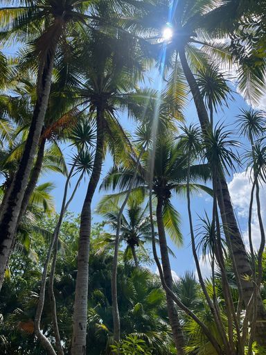 Путешествие в Таиланд в октябре-декабре meeting main image