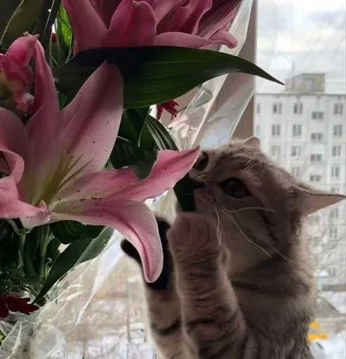 User Екатерина Мойсинович avatar