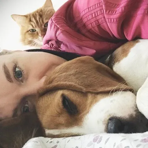 User Елена Мухина avatar