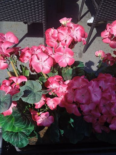 Квест  meeting main image