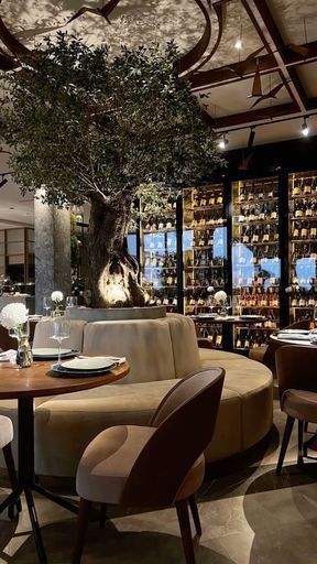 Мастер-класс с медиком и нутрициологом: «Безопасное похудение» meeting main image