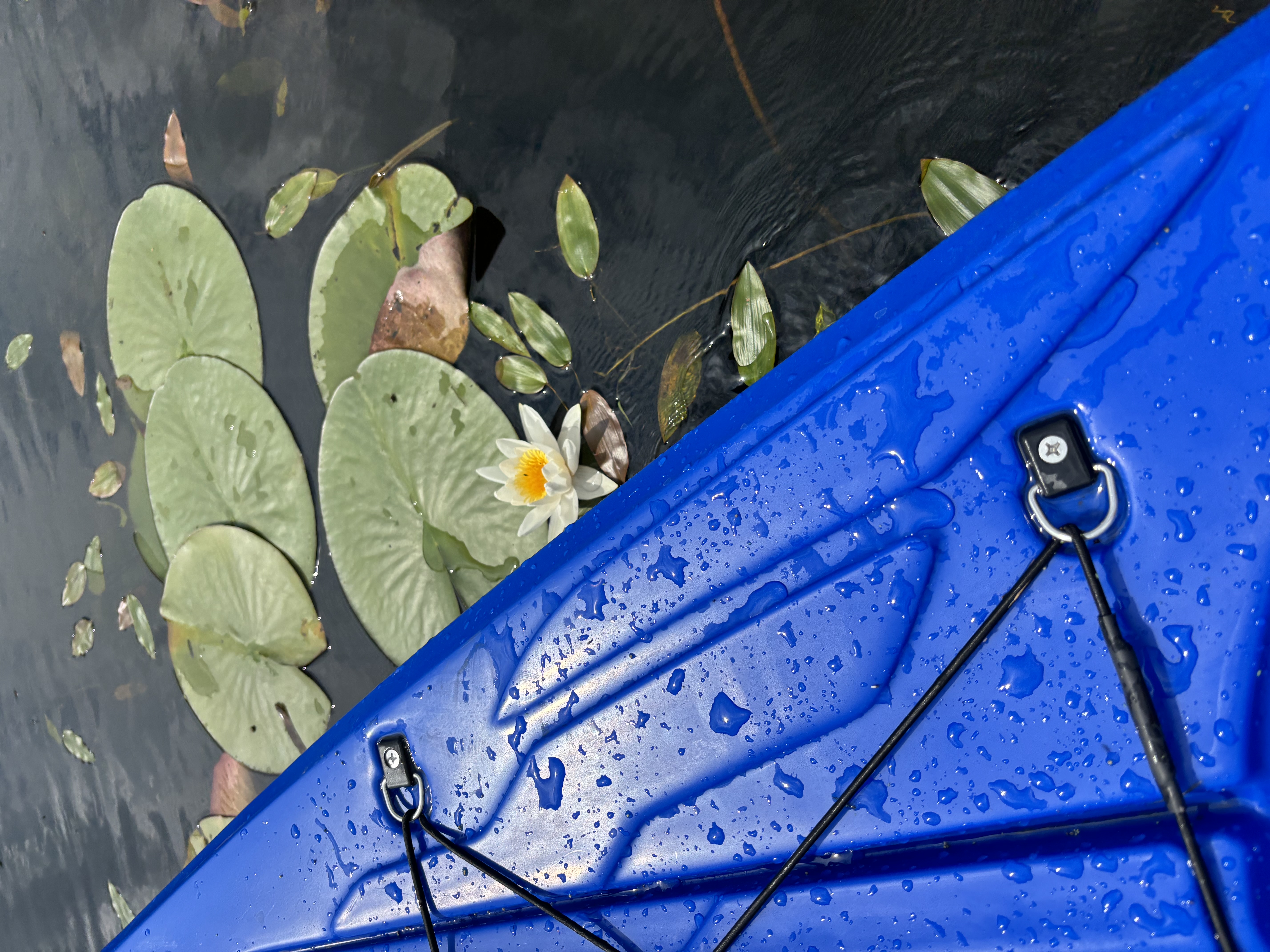 Путешествия по Беларуси . Активный отдых ! Сплавы на байдарках meeting main image