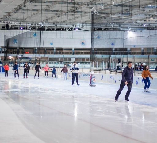 Коньки meeting main image