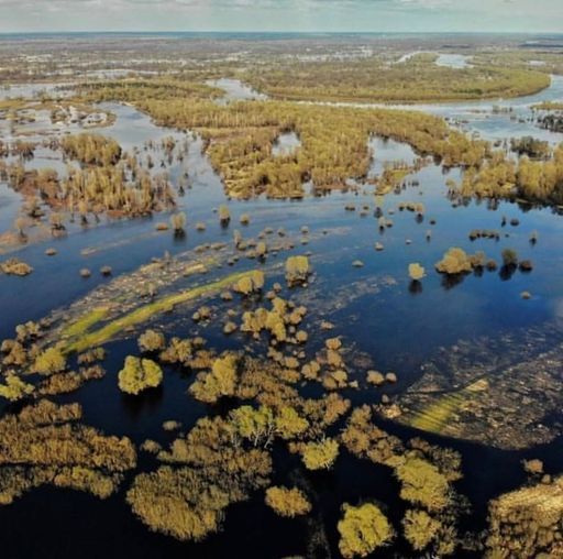 В поисках "Моря Геродота"  meeting main image