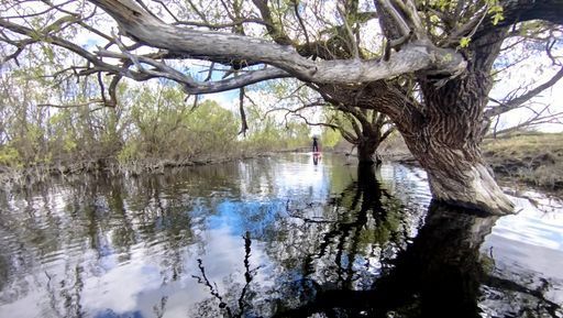 Сплав на сапбордах по разливам Днепра "Море Невриды".  meeting main image