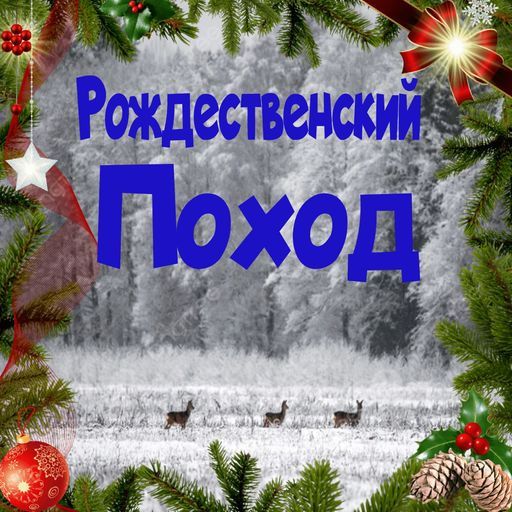 Однодневный поход с обедом у костра meeting main image