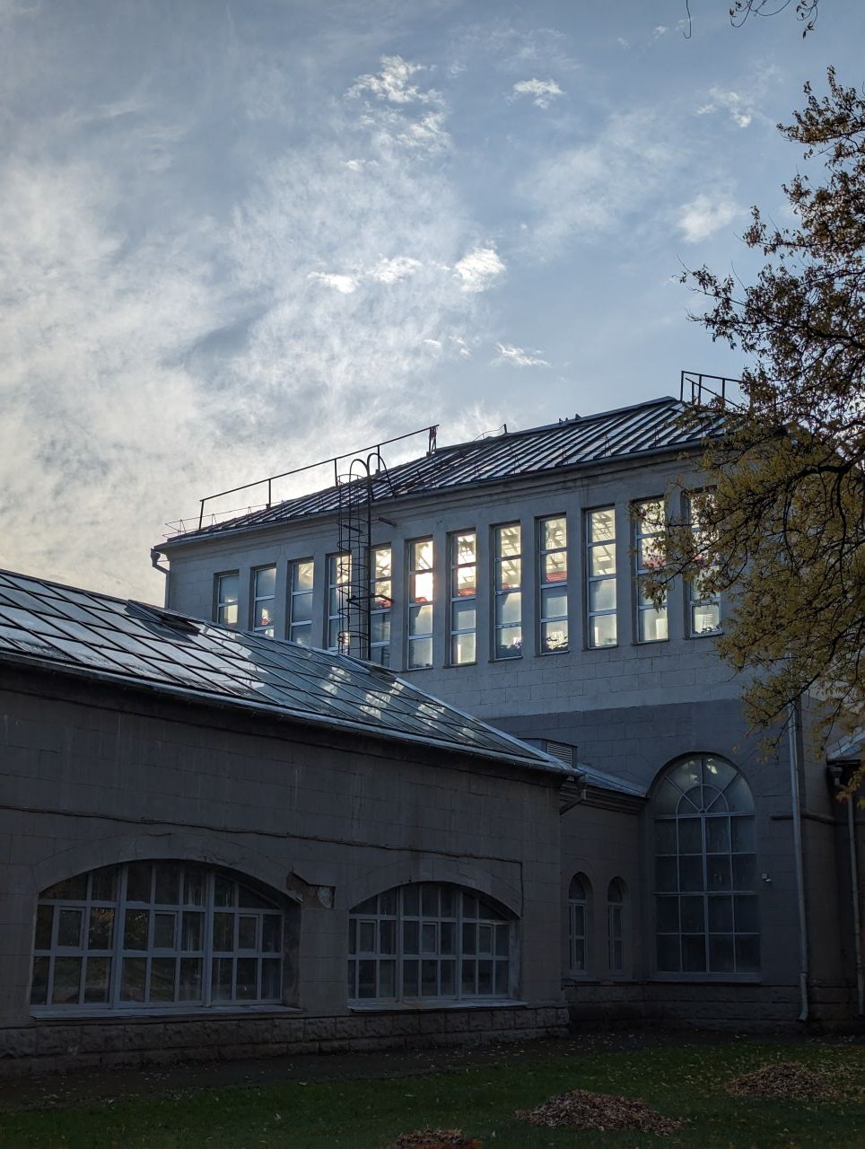 Прогулки по Ботаническому саду meeting main image