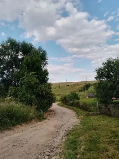 User Станислав  Соколов  avatar