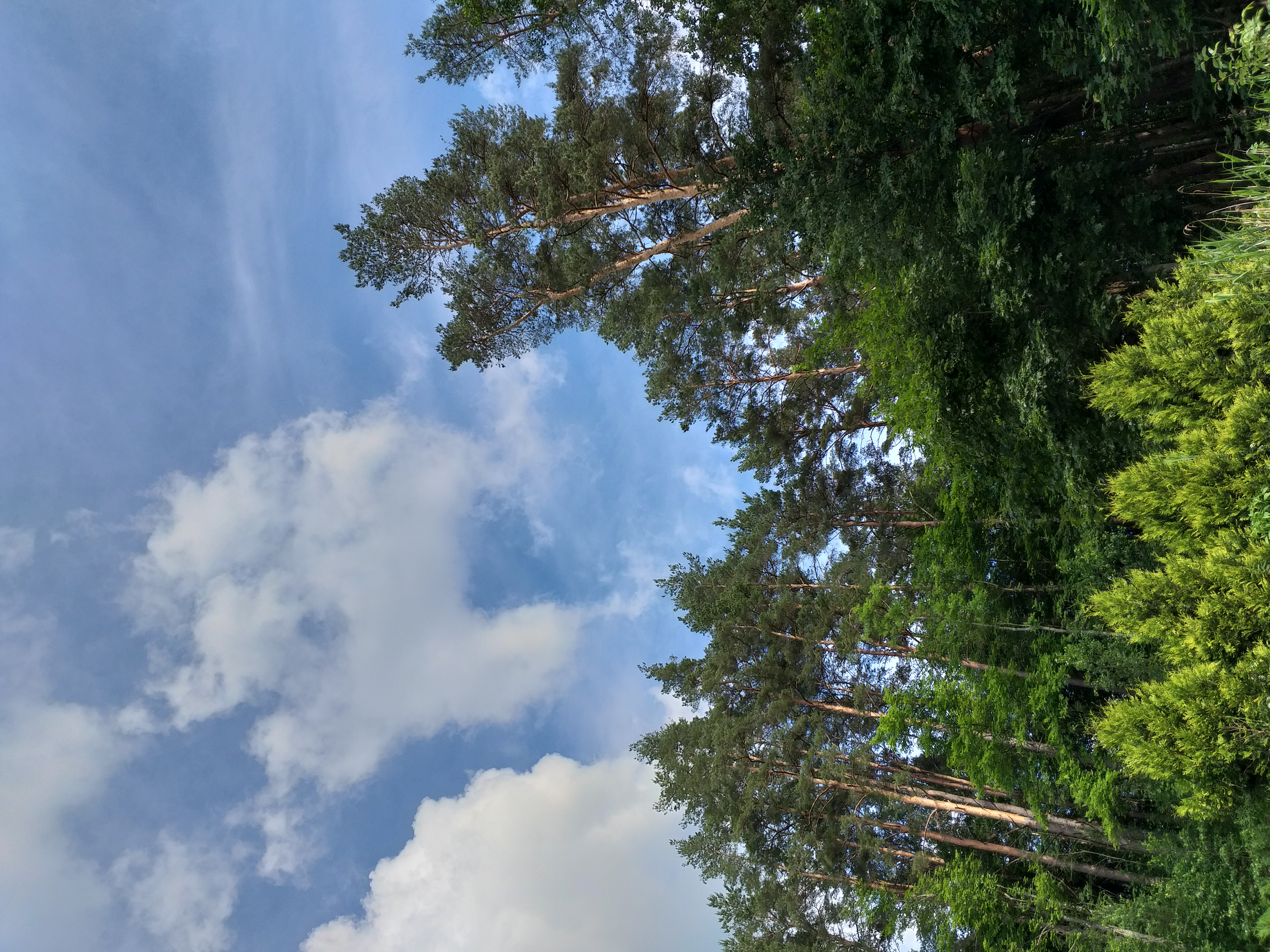 User Татьяна Синицына avatar