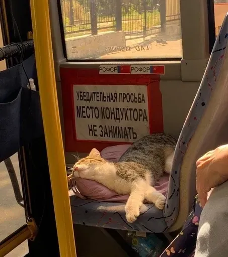 User Рита  avatar