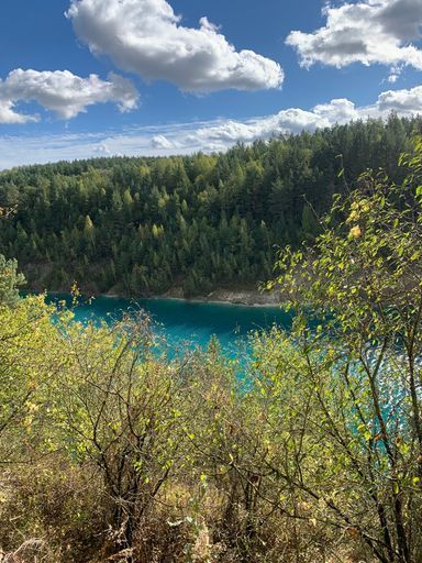 Глобальная экология и локальные экосистемы  meeting main image